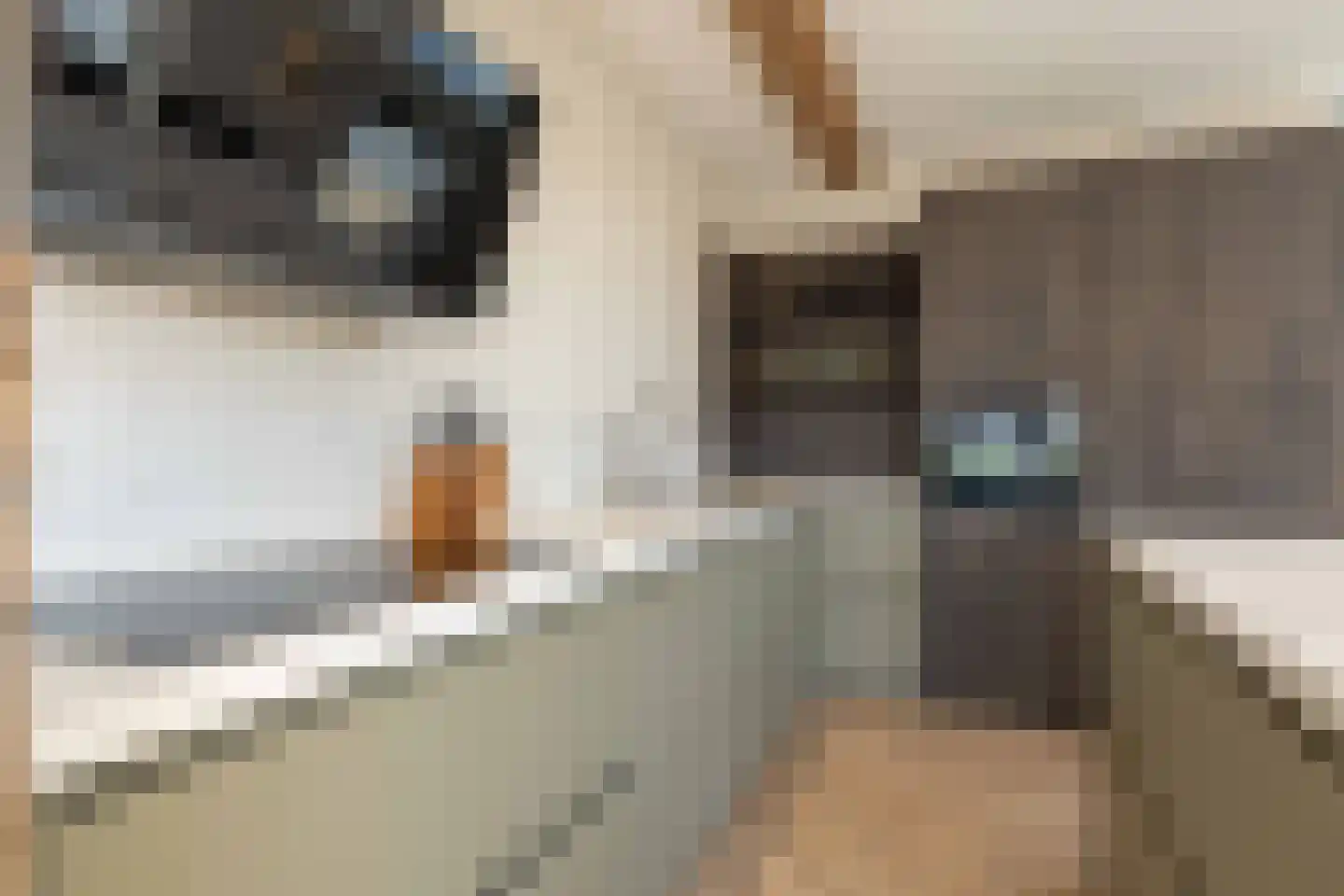 Beilerstraat 6 a Pesse thumbnail 21