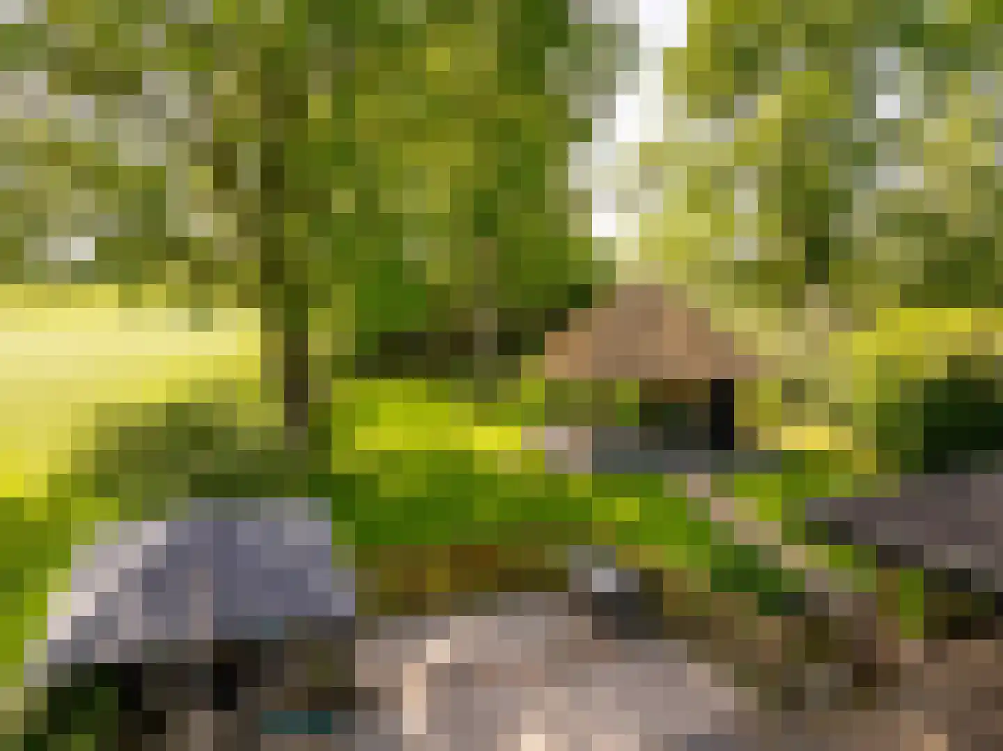 Beilerstraat 6 a Pesse thumbnail 49