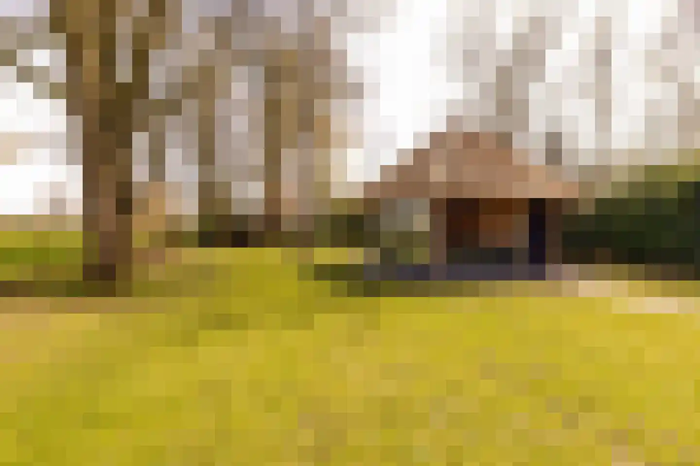 Beilerstraat 6 a Pesse thumbnail 49