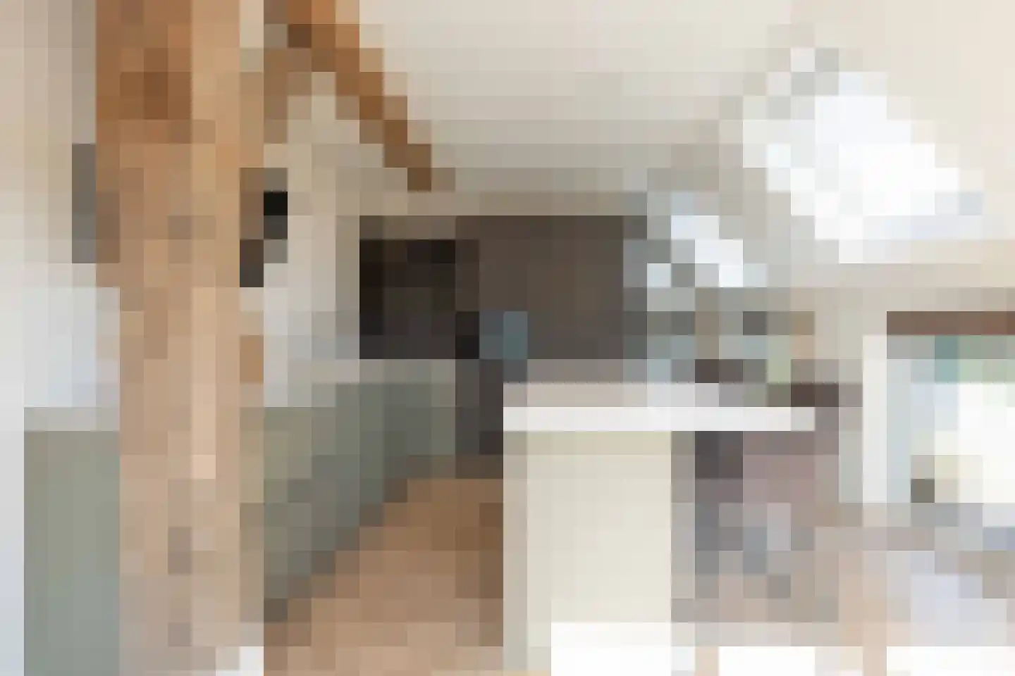 Beilerstraat 6 a Pesse thumbnail 5