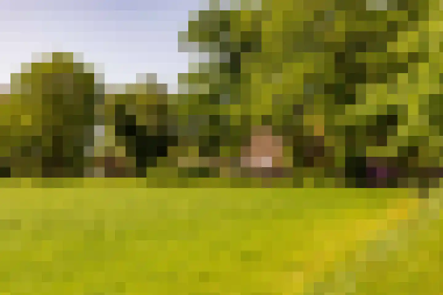 Beilerstraat 6 a Pesse thumbnail 5