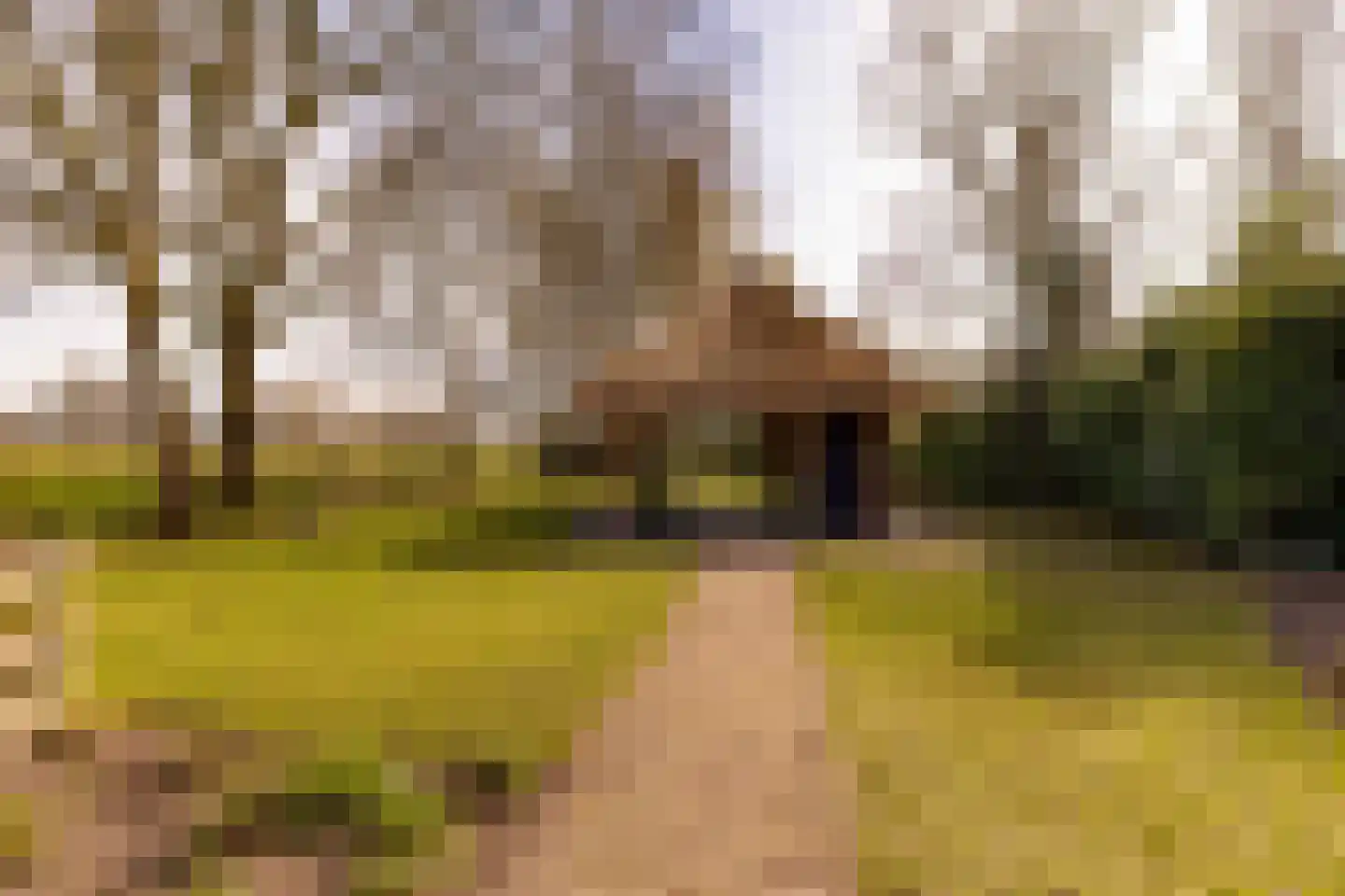 Beilerstraat 6 a Pesse thumbnail 50