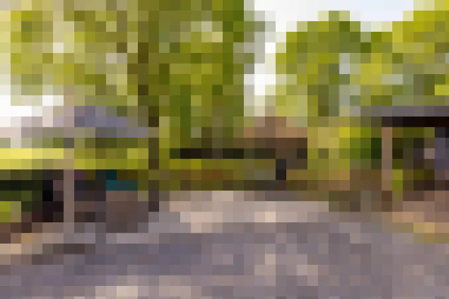Beilerstraat 6 a Pesse thumbnail 51