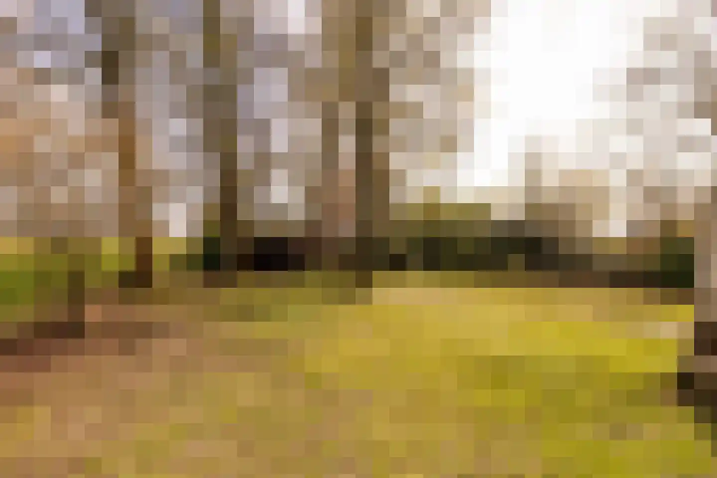 Beilerstraat 6 a Pesse thumbnail 54