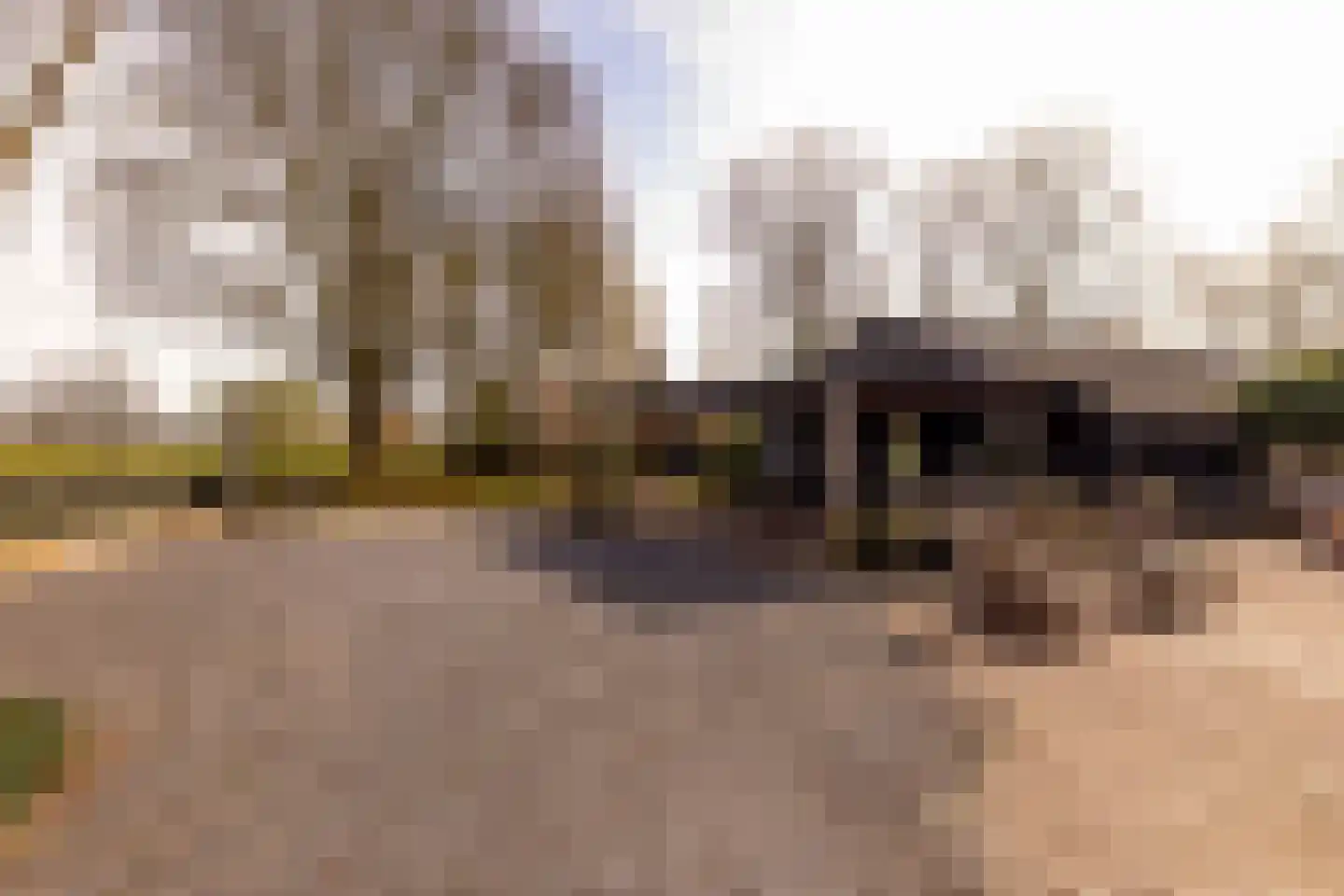 Beilerstraat 6 a Pesse thumbnail 60