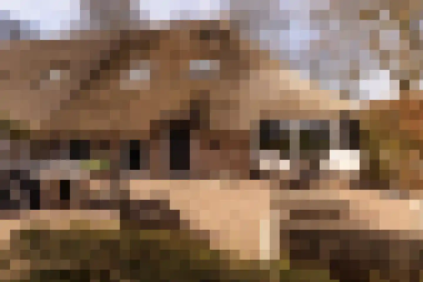 Beilerstraat 6 a Pesse thumbnail 64