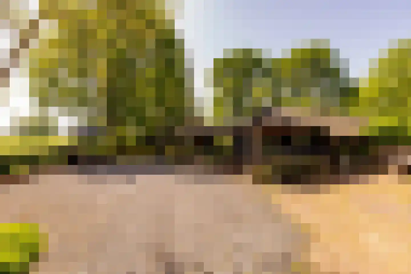 Beilerstraat 6 a Pesse thumbnail 64