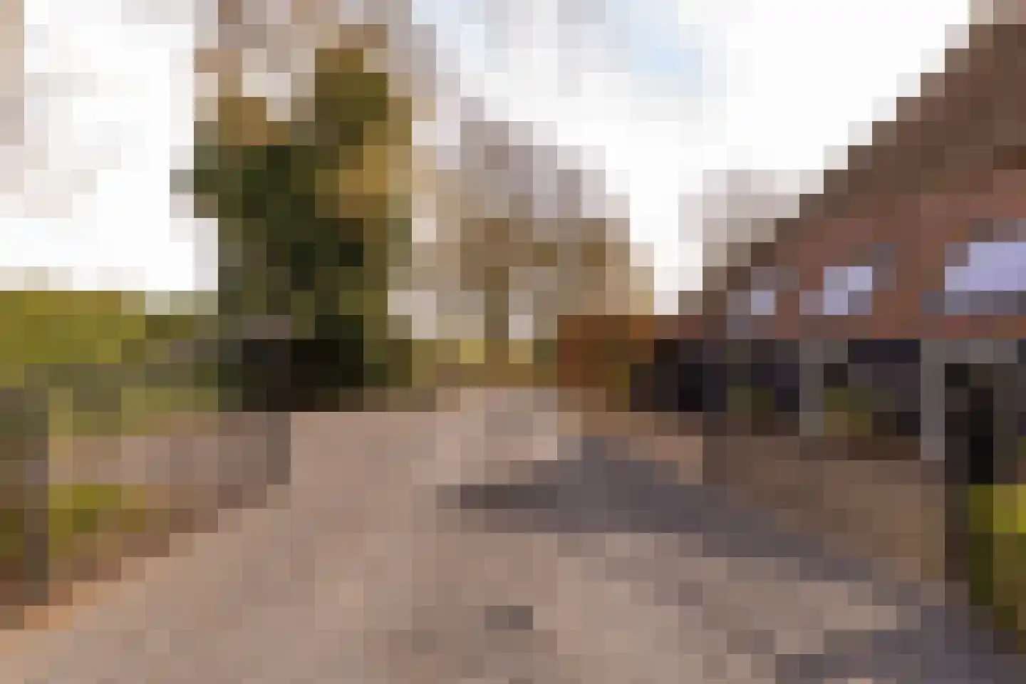 Beilerstraat 6 a Pesse thumbnail 68