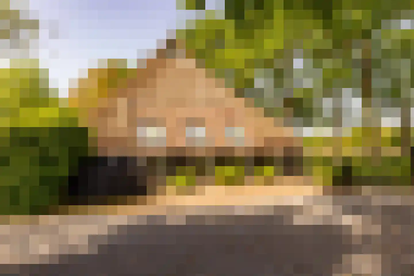 Beilerstraat 6 a Pesse thumbnail 73
