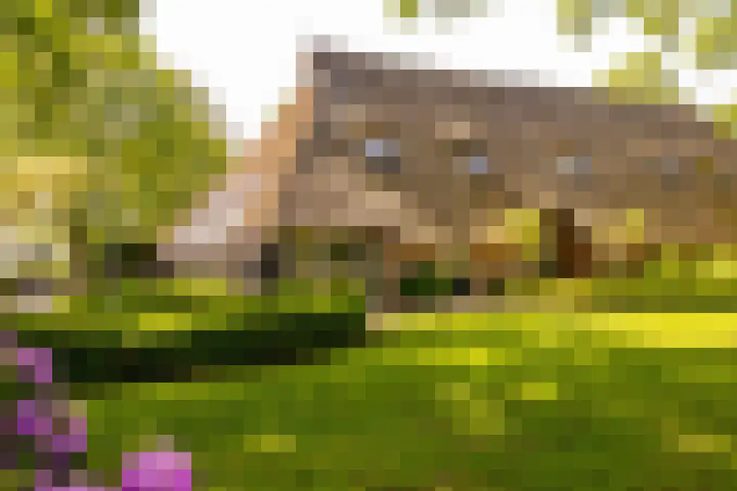 Beilerstraat 6 a Pesse thumbnail 9