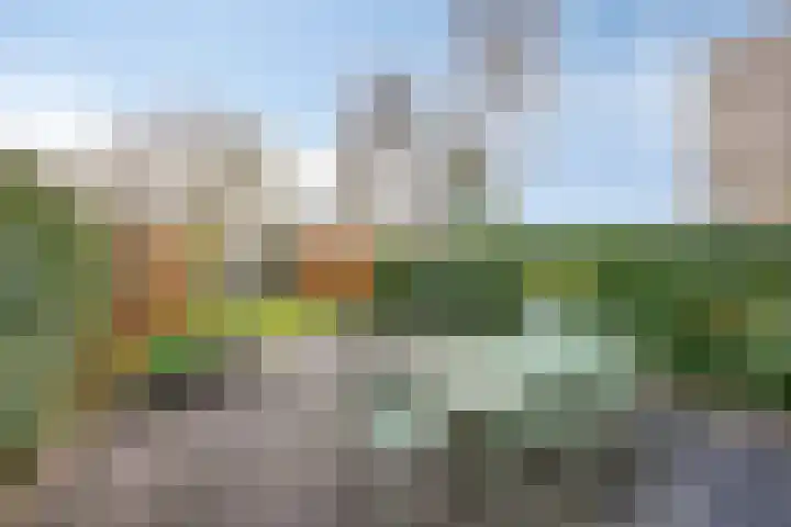 Beilerstraat 61 Assen thumbnail 45
