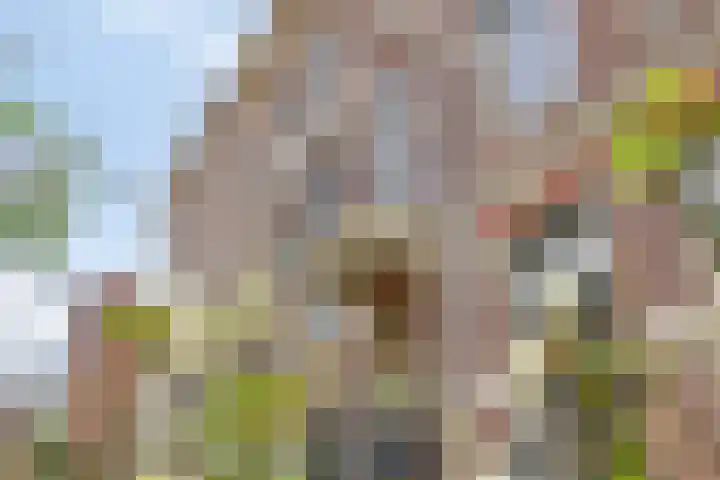 Beilerstraat 61 Assen thumbnail 57