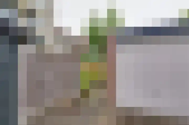 Beilerstraat 67 Assen thumbnail 29