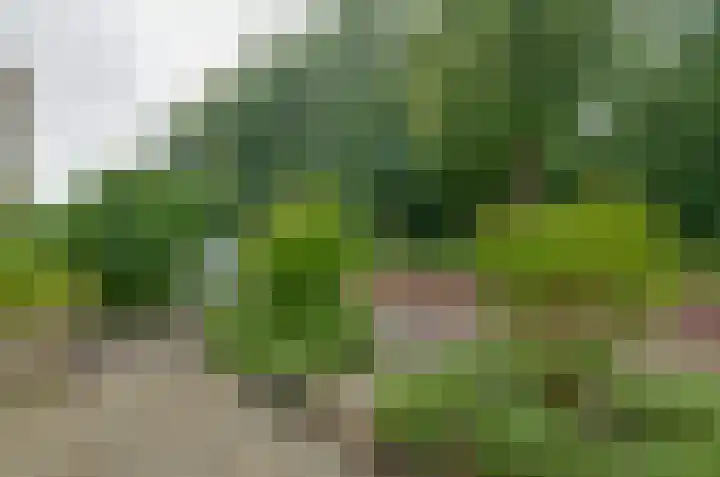 Beilerstraat 67 Assen thumbnail 34