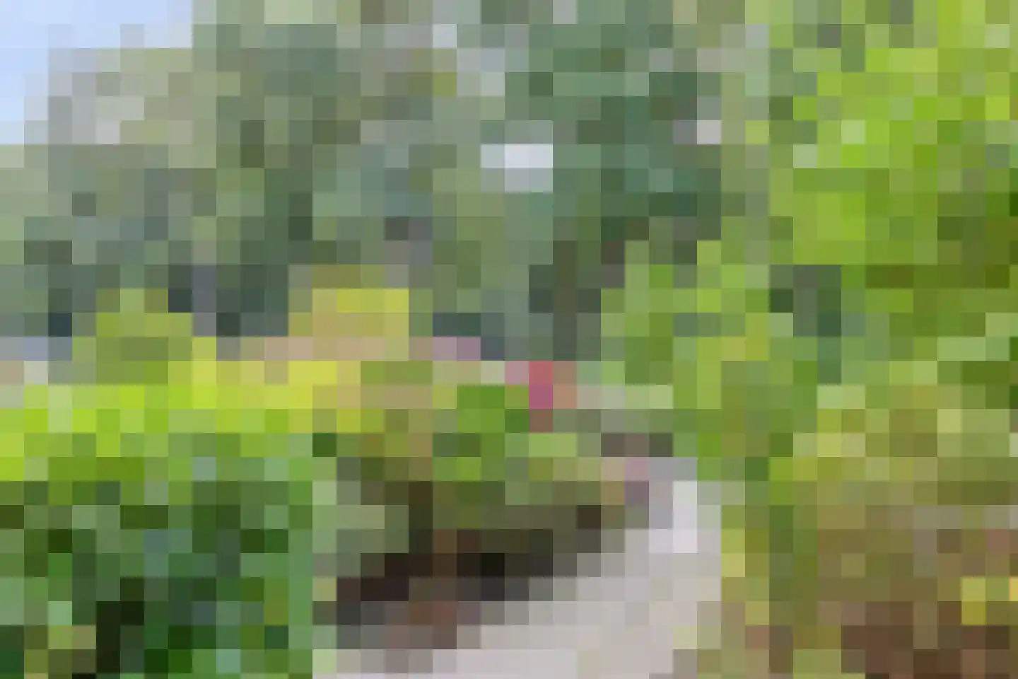 Beilerstraat 69 Assen thumbnail 15