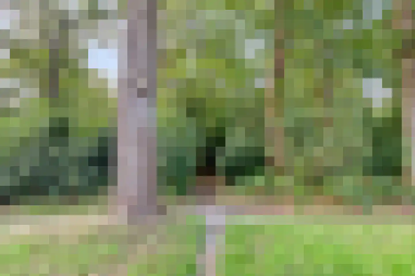 Beilerstraat 69 Assen thumbnail 37
