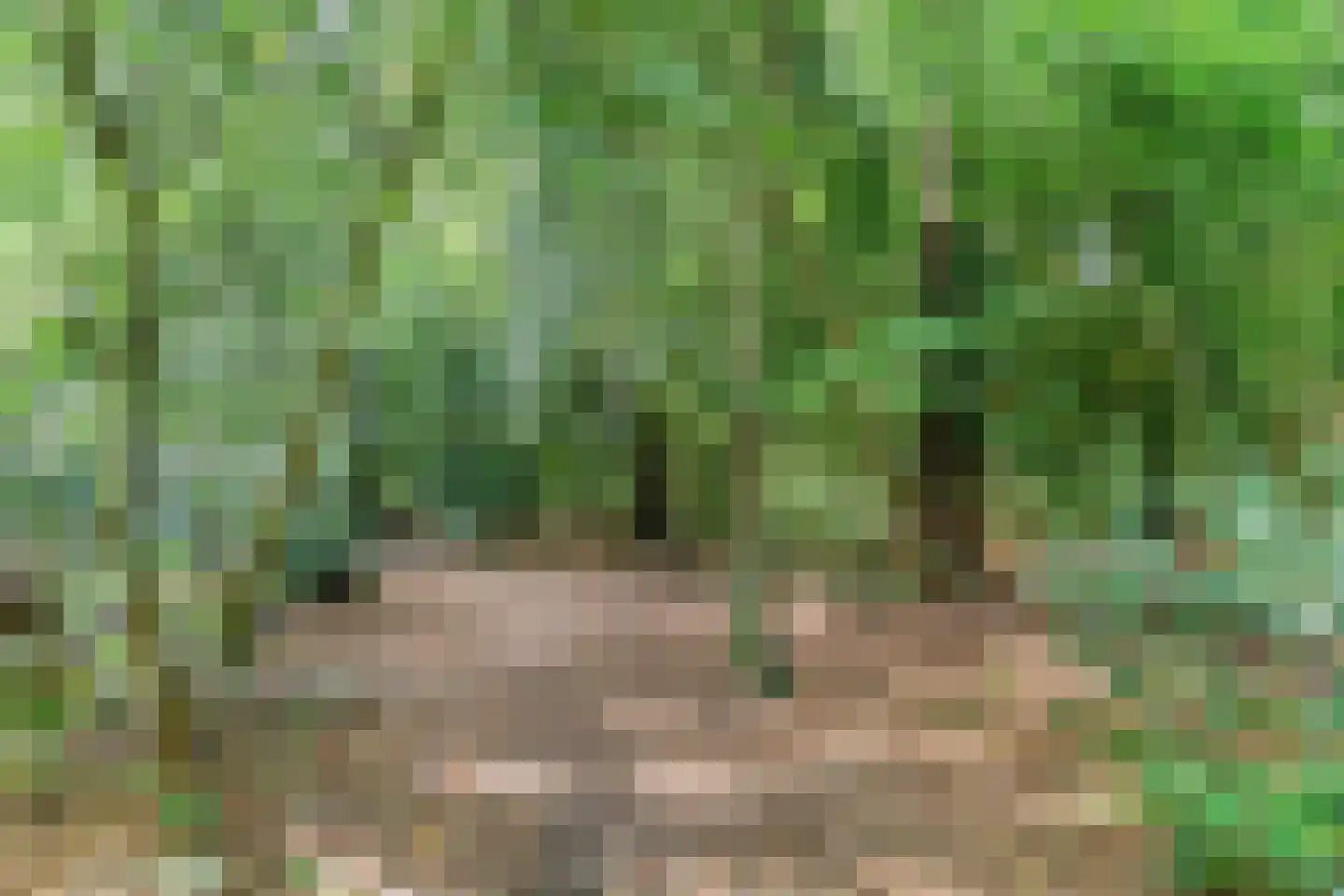 Beilerstraat 69 Assen thumbnail 38