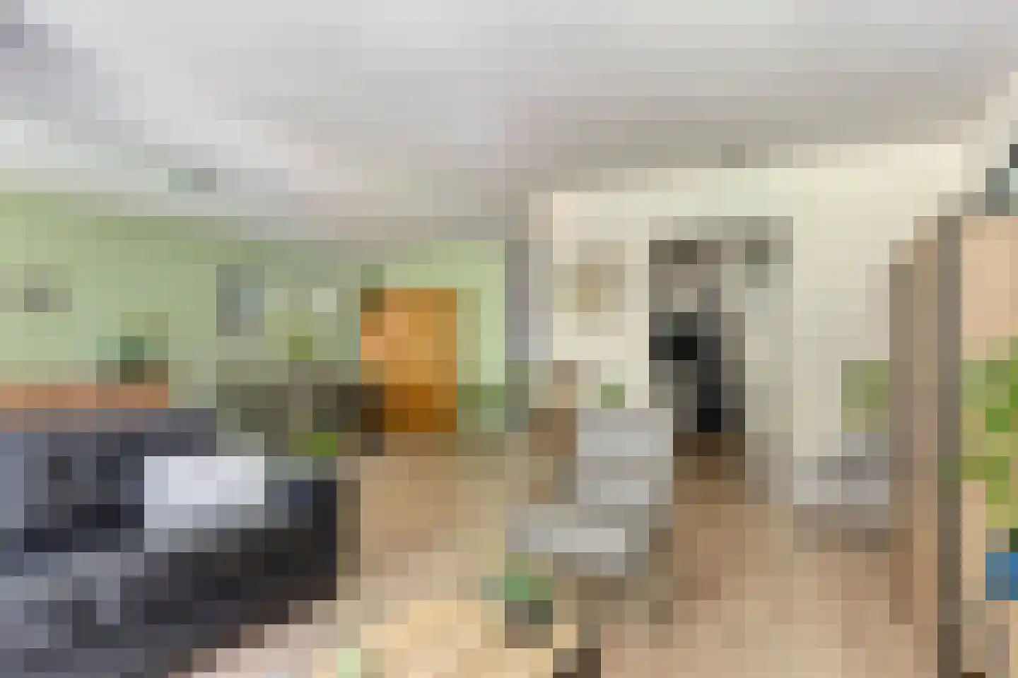 Beilerstraat 69 Assen thumbnail 5