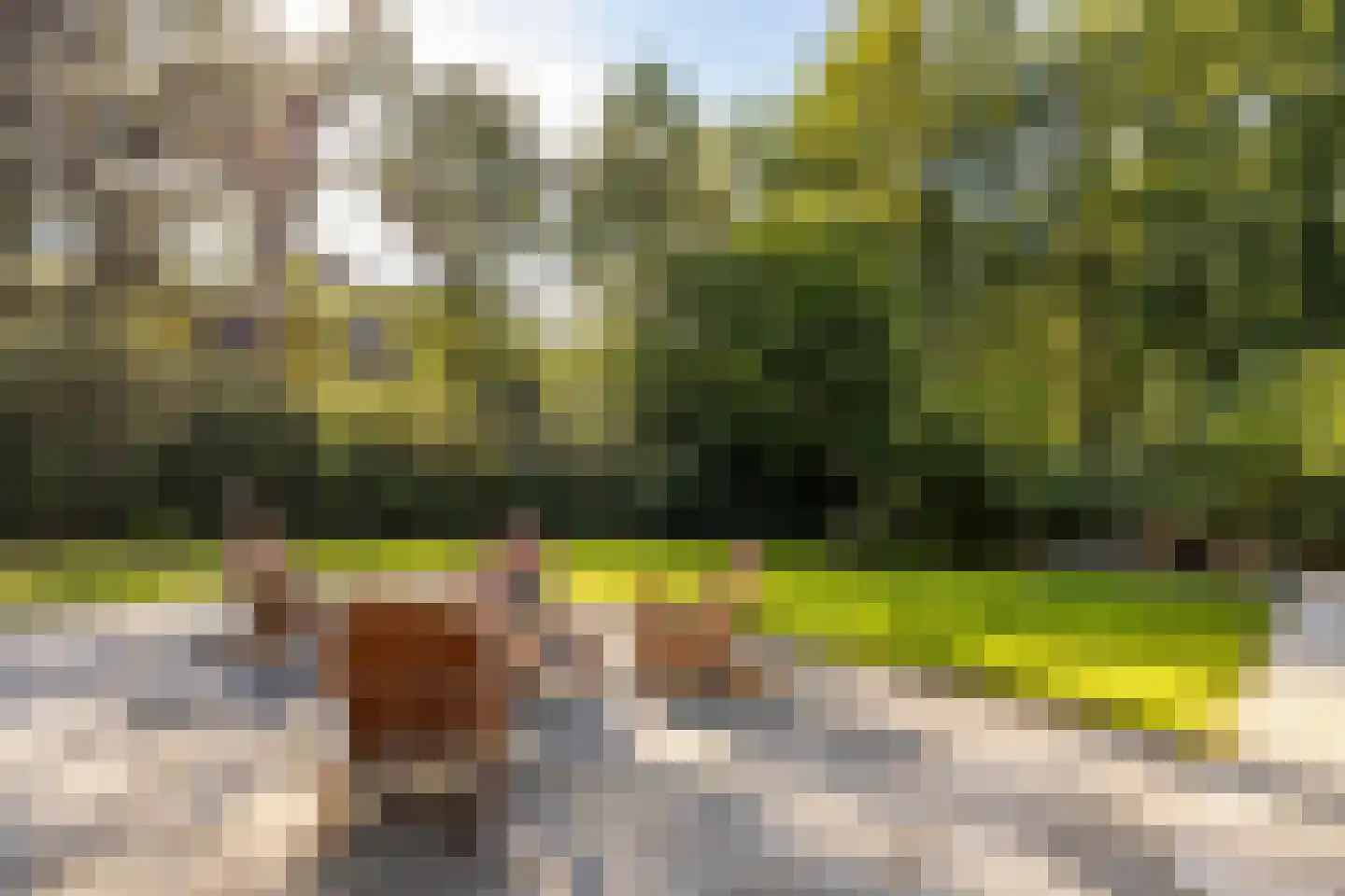 Beilerstraat 82 Assen thumbnail 10