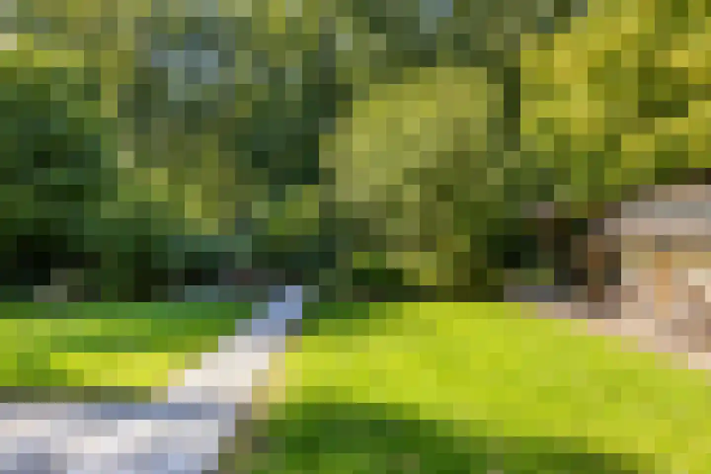 Beilerstraat 82 Assen thumbnail 11