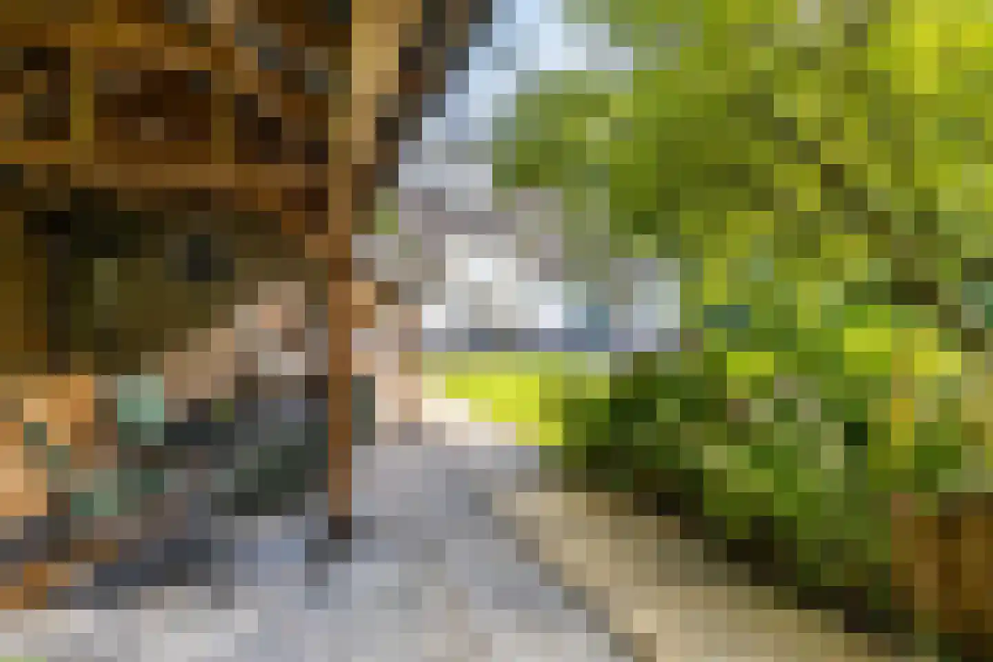 Beilerstraat 82 Assen thumbnail 13