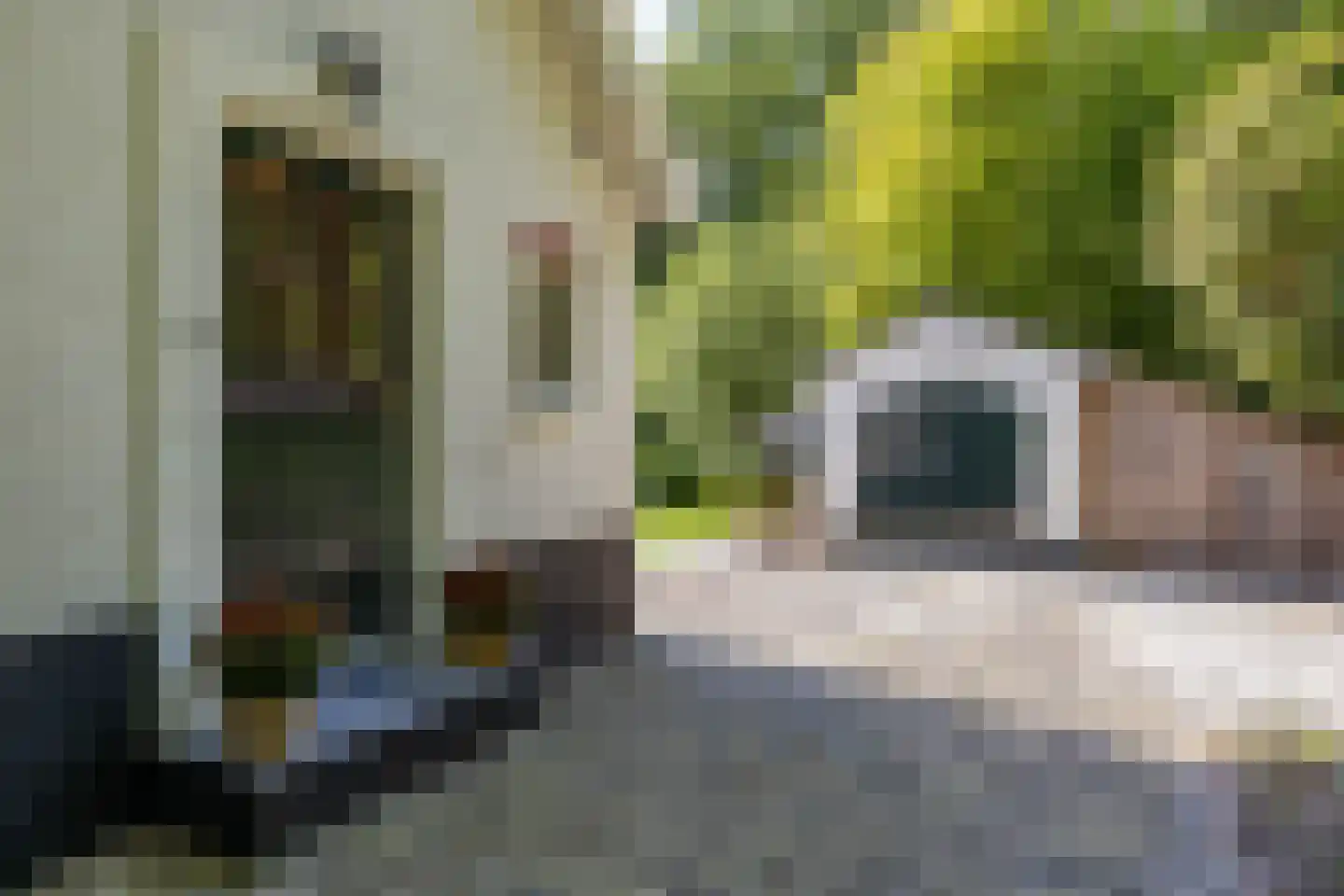 Beilerstraat 82 Assen thumbnail 15