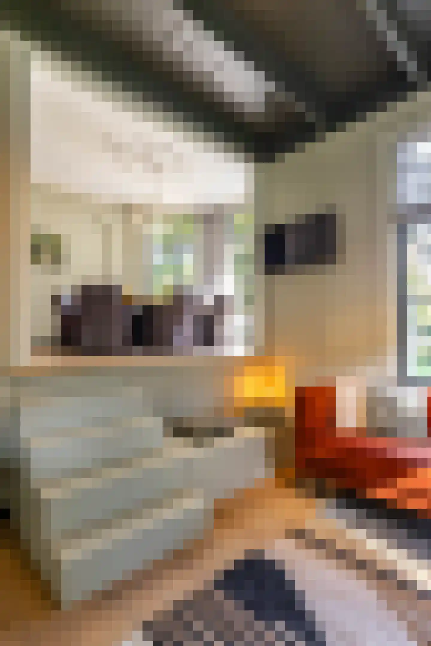 Beilerstraat 82 Assen thumbnail 19