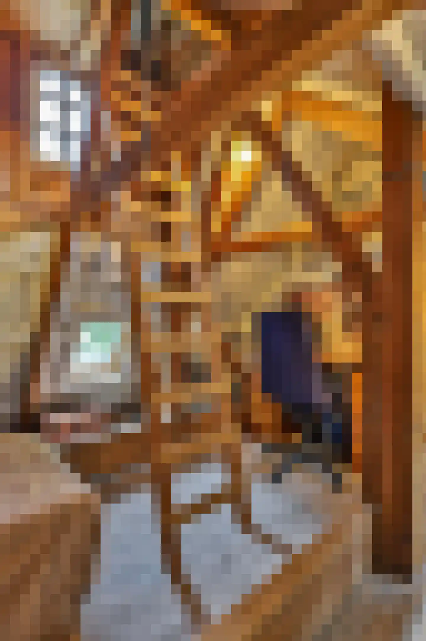 Beilerstraat 82 Assen thumbnail 37