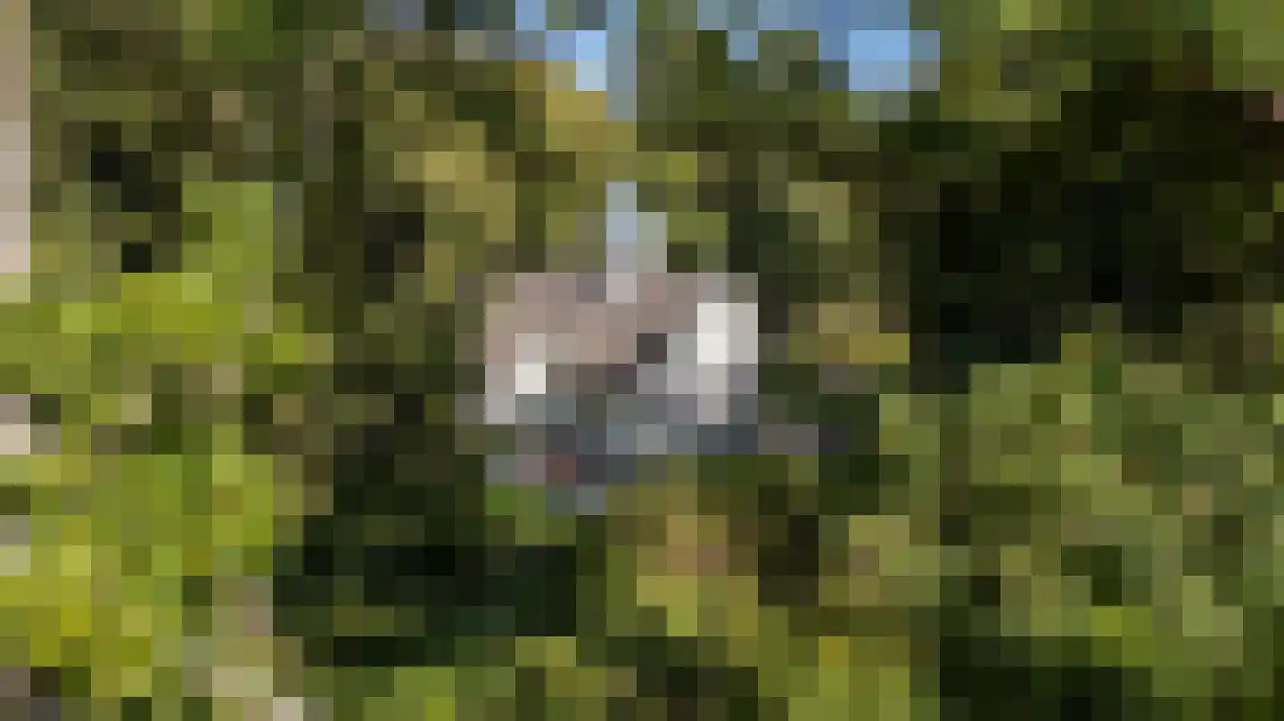 Beilerstraat 82 Assen thumbnail 4