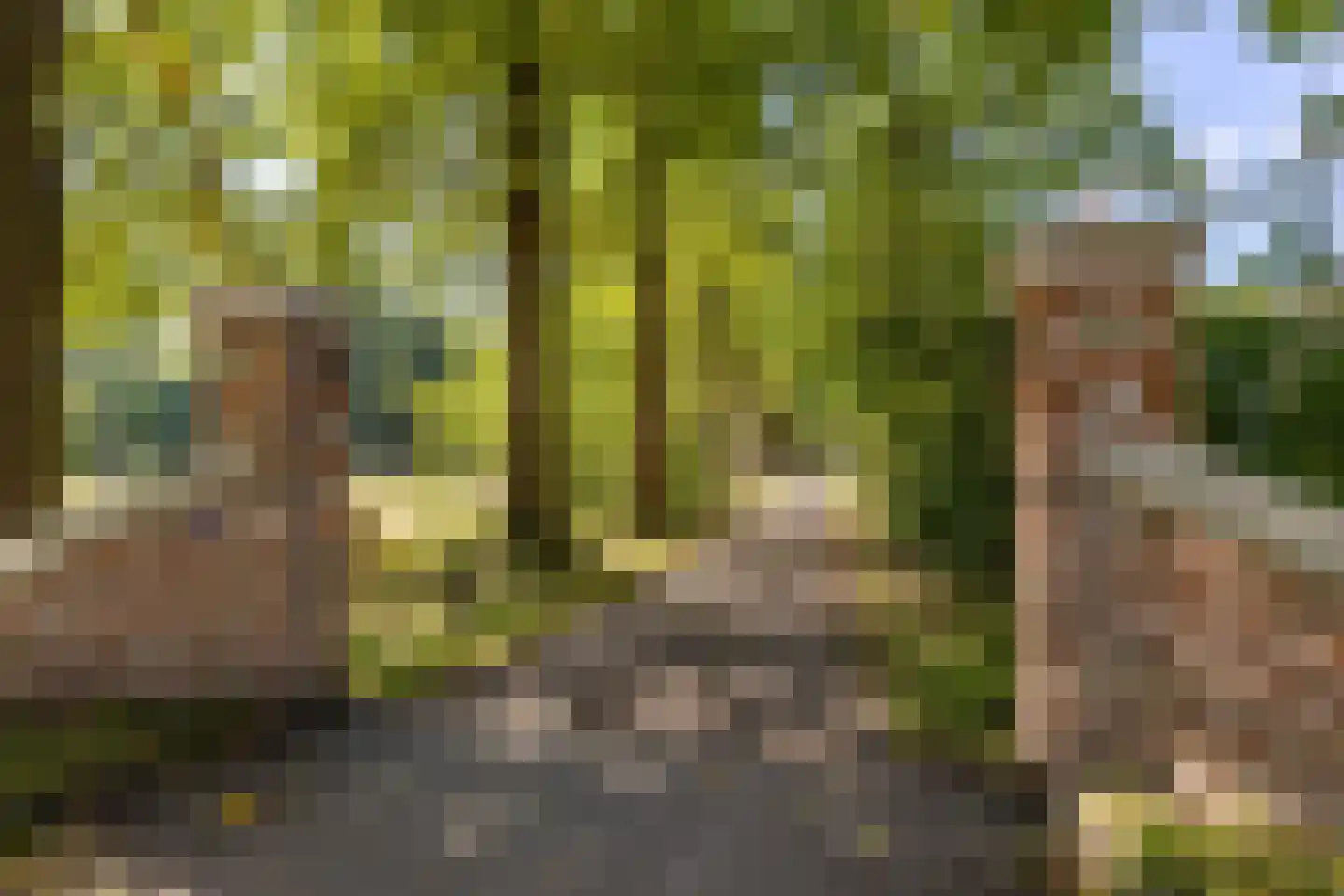 Beilerstraat 82 Assen thumbnail 6
