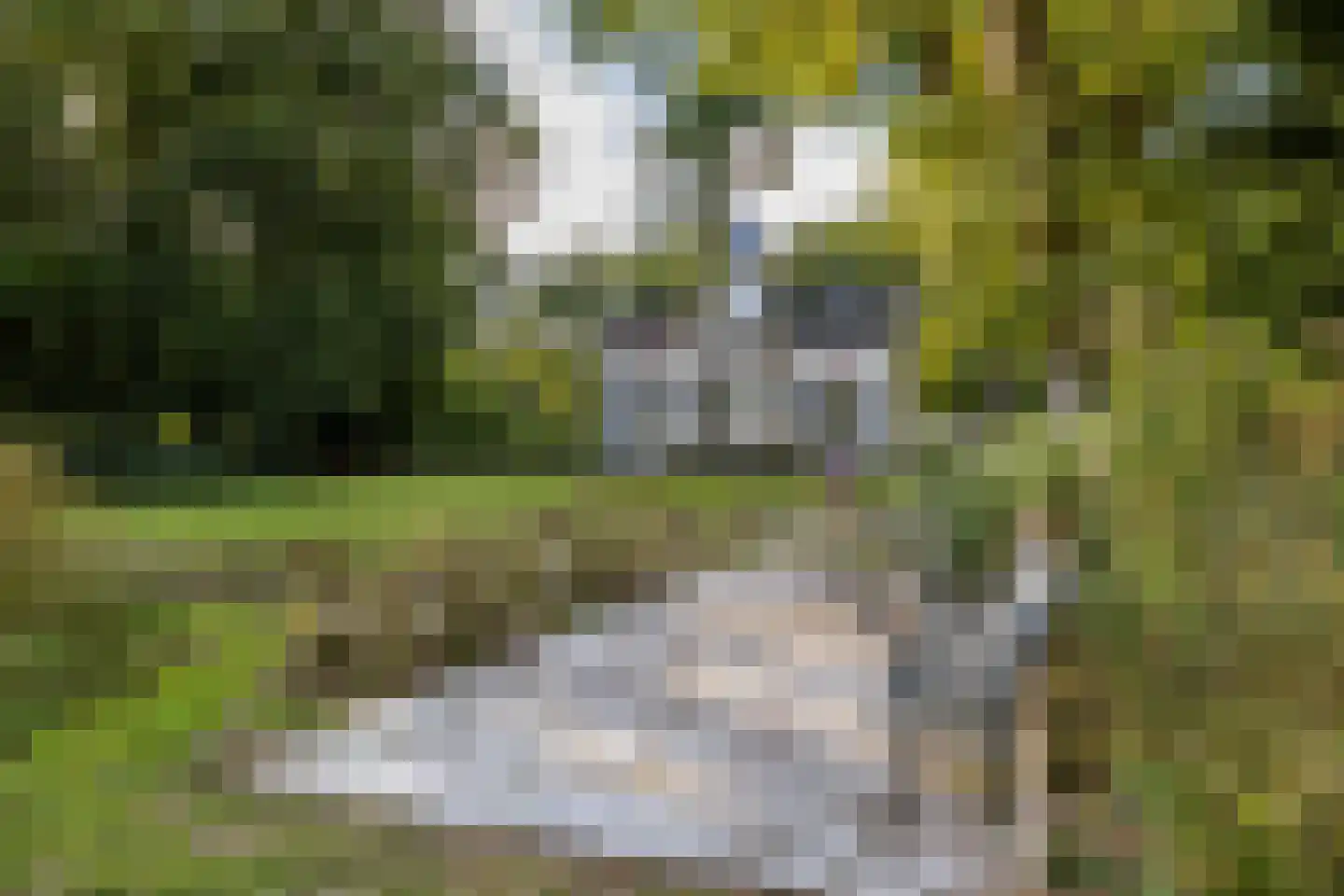 Beilerstraat 82 Assen thumbnail 8