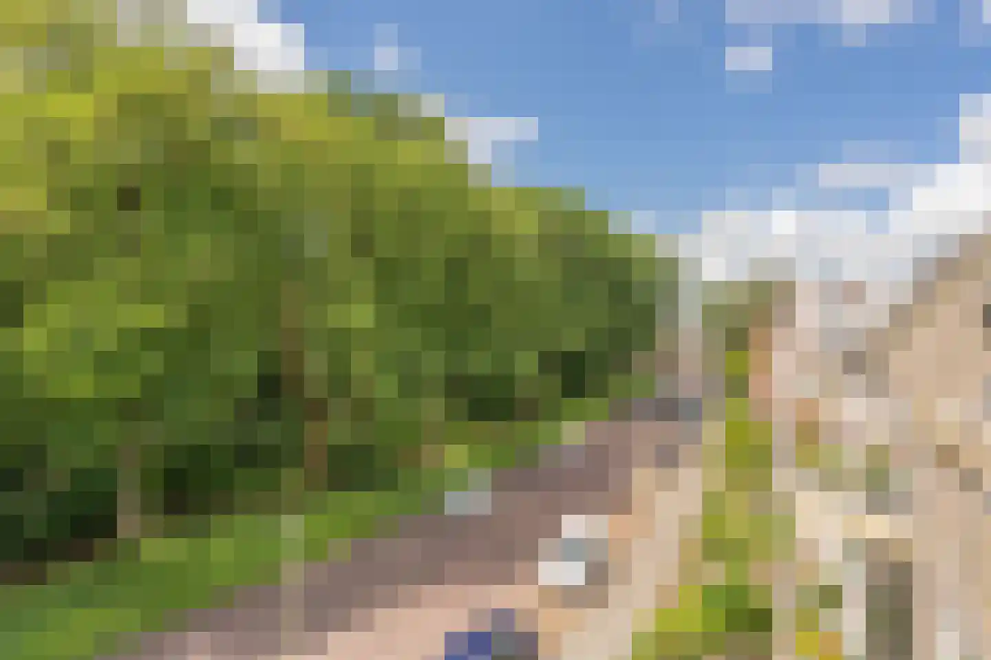 Beilerstraat 95 Assen thumbnail 20