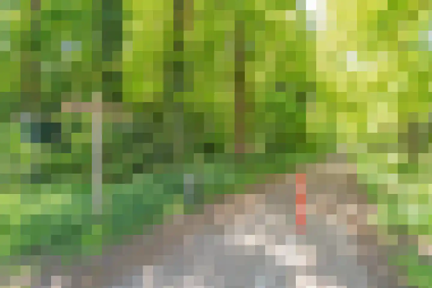 Beilerstraat 95 Assen thumbnail 38