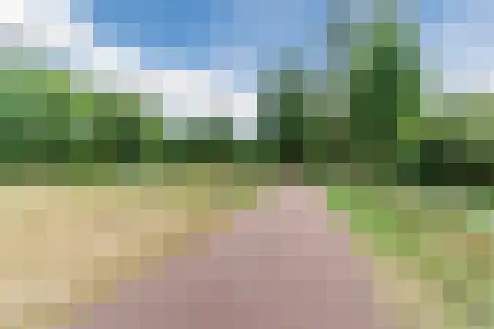 Beilerstroom 50 Tilburg thumbnail 38