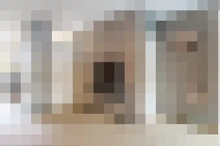 Beilerstroom 50 Tilburg thumbnail 8