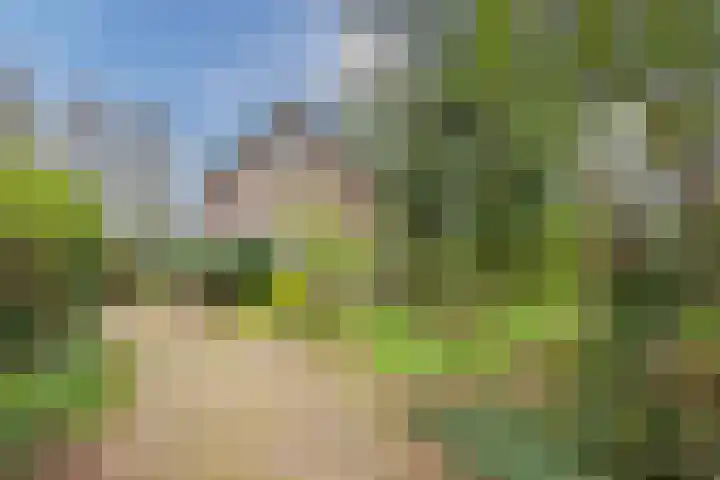 Beilervaart 63 Beilen thumbnail 4