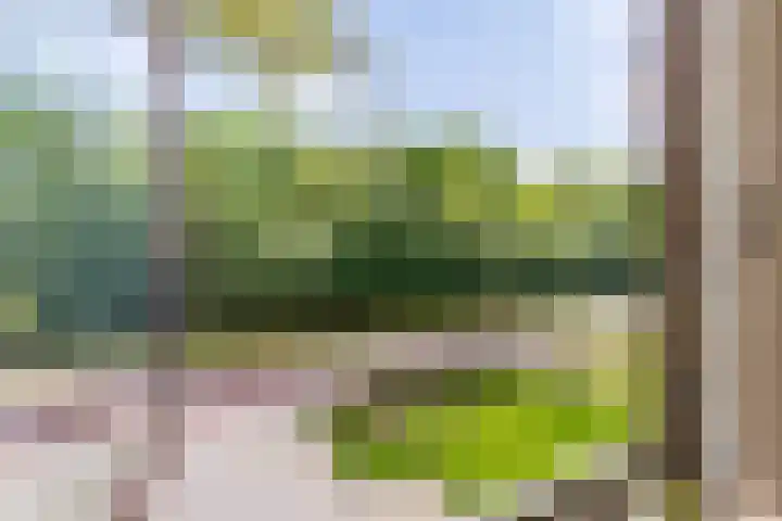 Beilervaart 75 Beilen thumbnail 38
