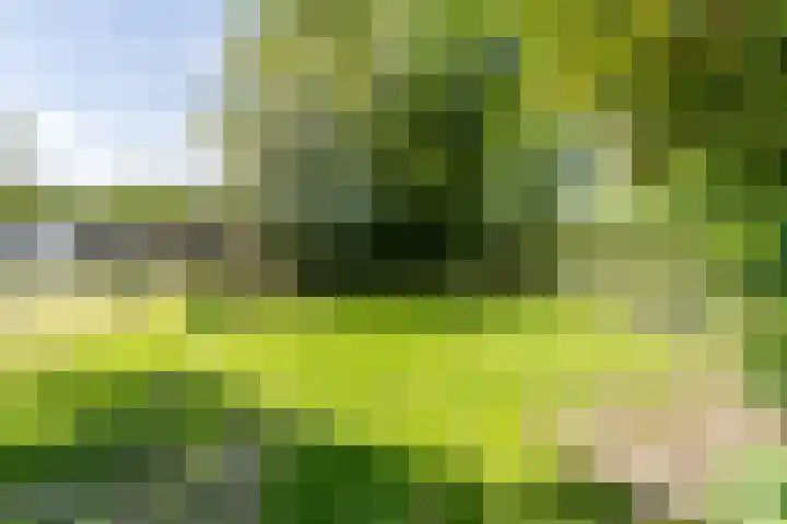 Beilervaart 75 Beilen thumbnail 40