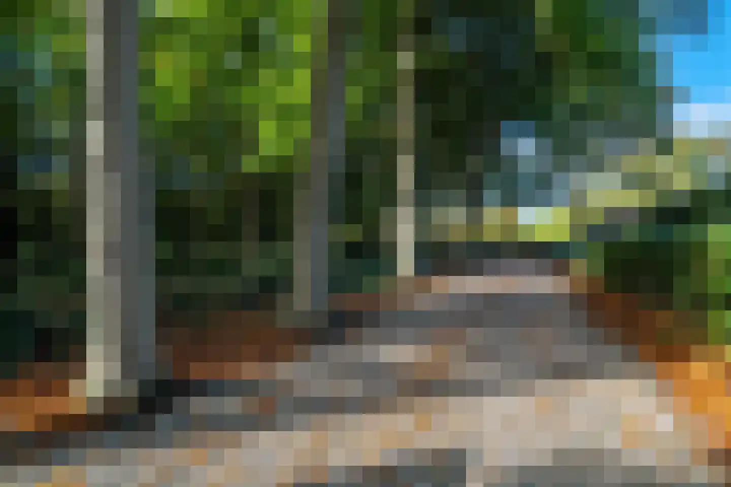 Beilerweg 22 Hooghalen thumbnail 16