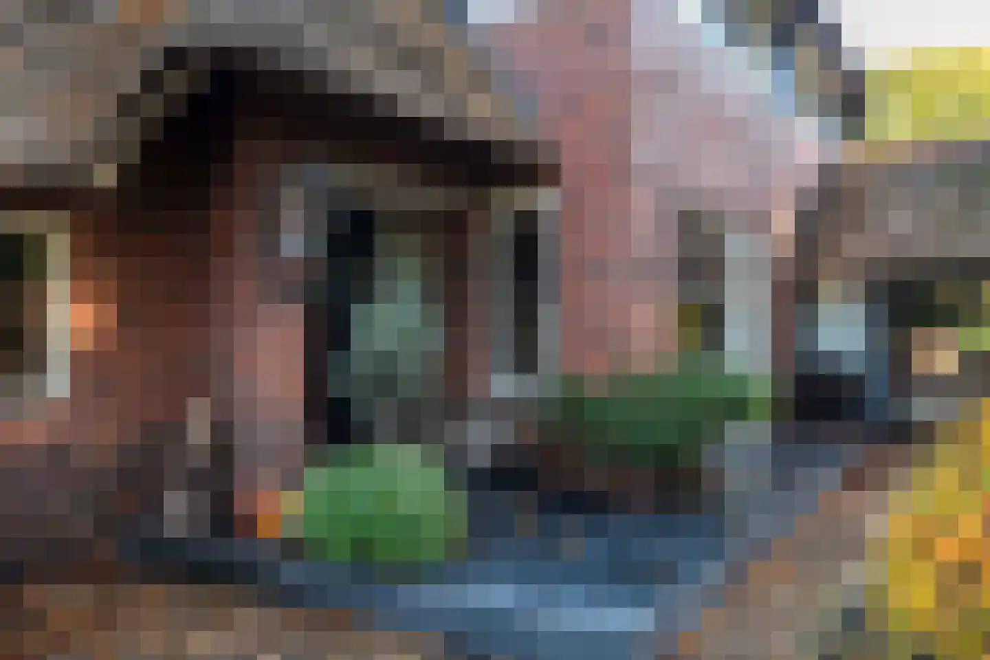 Beilerweg 22 Hooghalen thumbnail 20