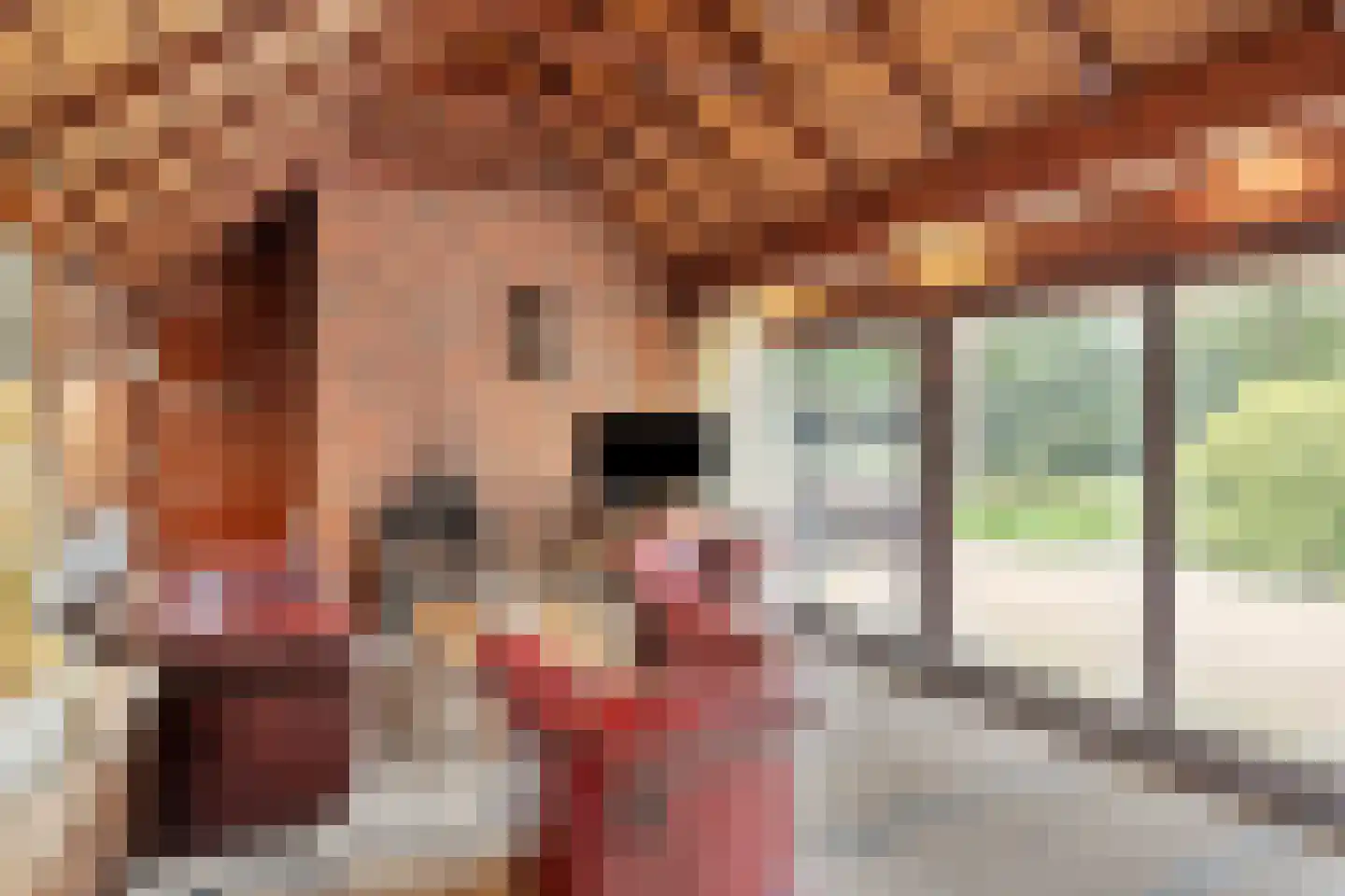 Beilerweg 22 Hooghalen thumbnail 32