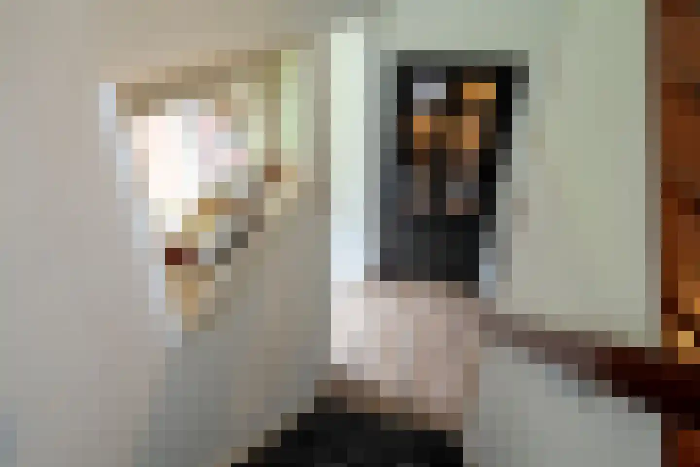 Beilerweg 22 Hooghalen thumbnail 40