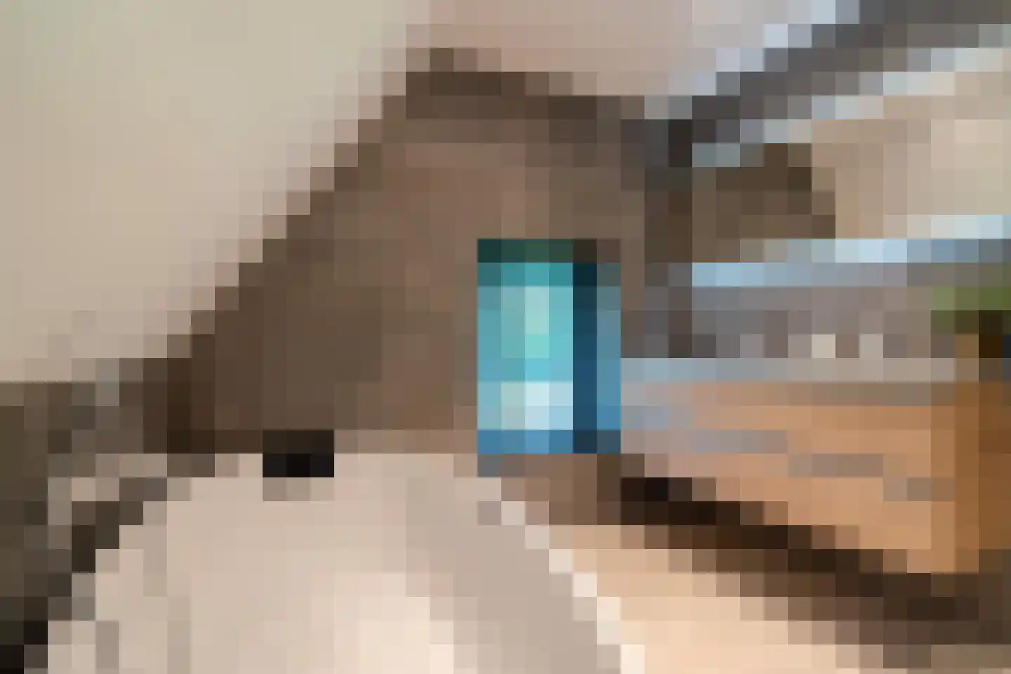 Beilerweg 22 Hooghalen thumbnail 44