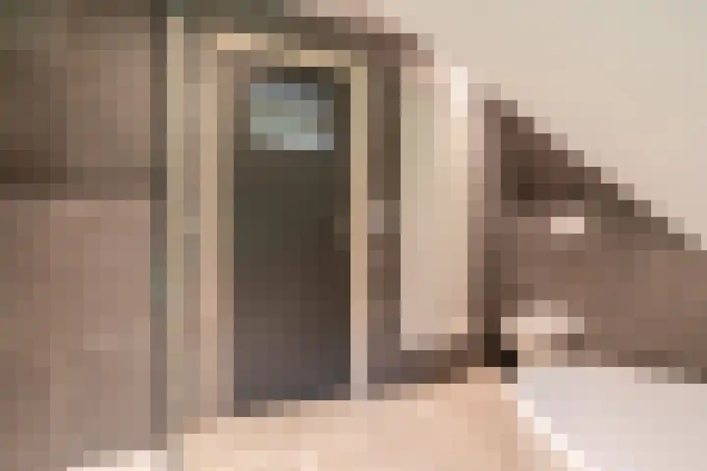 Beilerweg 22 Hooghalen thumbnail 47