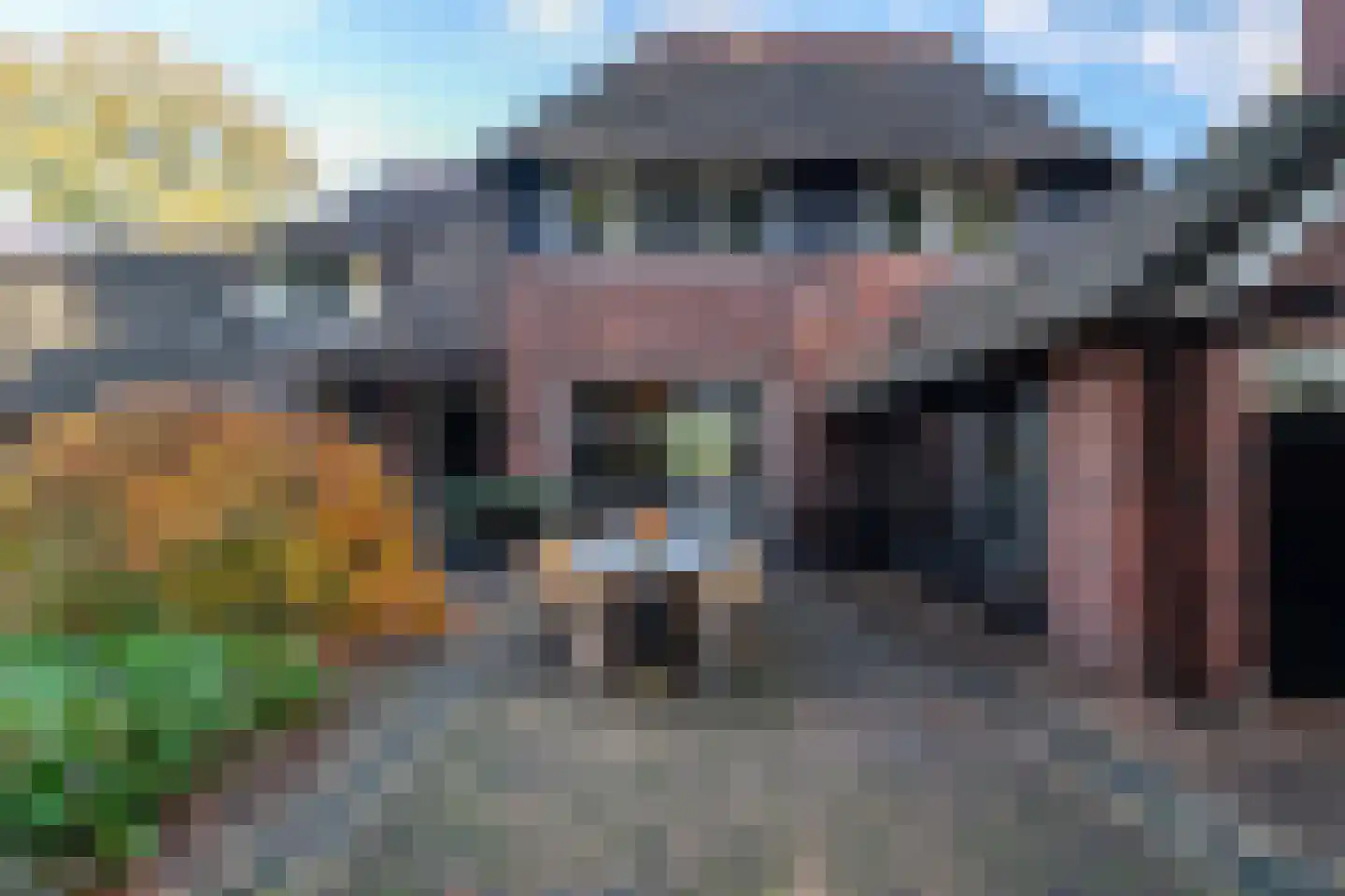 Beilerweg 22 Hooghalen thumbnail 6