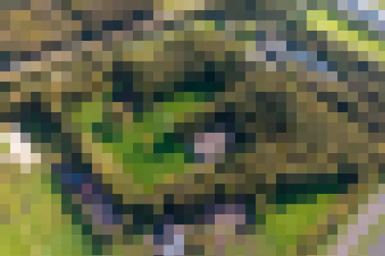 Beilerweg 22 Hooghalen thumbnail 65