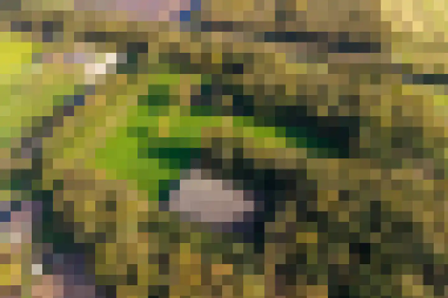 Beilerweg 22 Hooghalen thumbnail 66