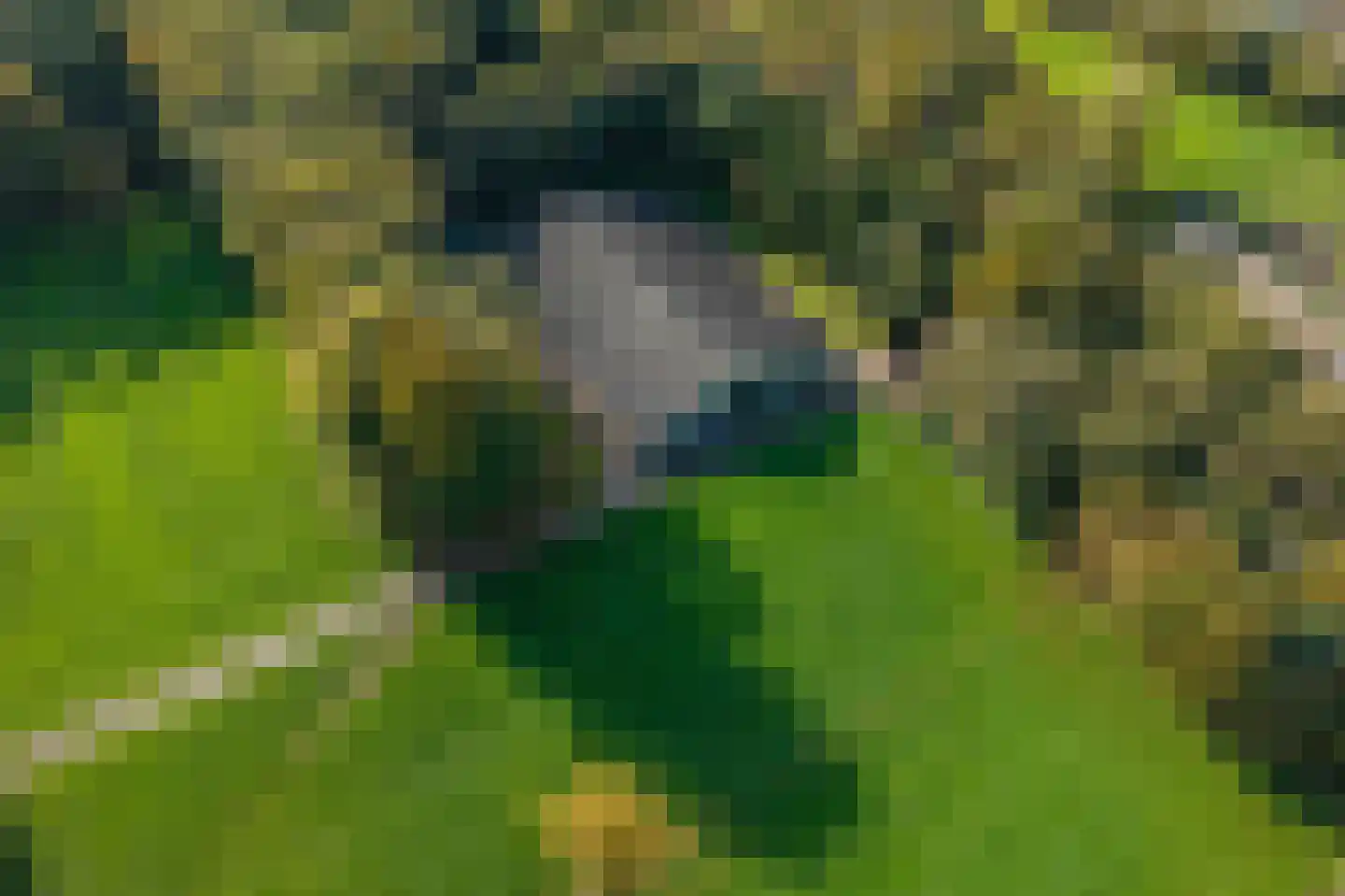 Beilerweg 22 Hooghalen thumbnail 67