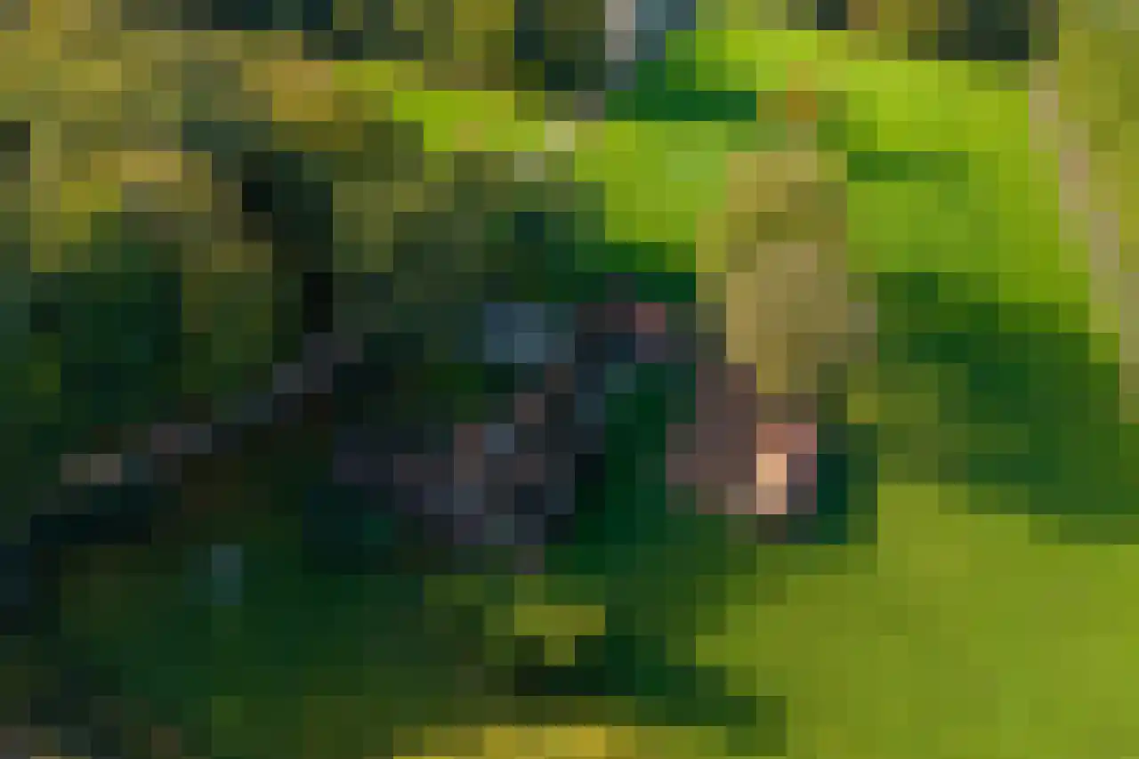 Beilerweg 22 Hooghalen thumbnail 7