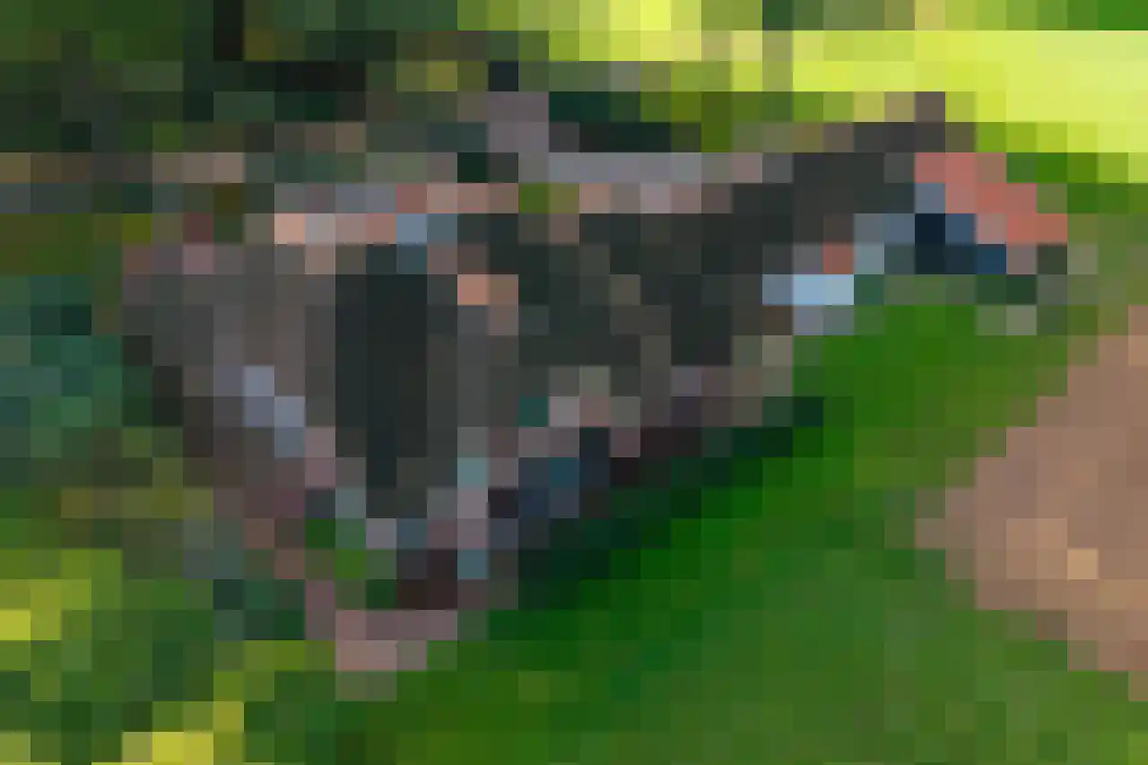 Beilerweg 22 Hooghalen thumbnail 71